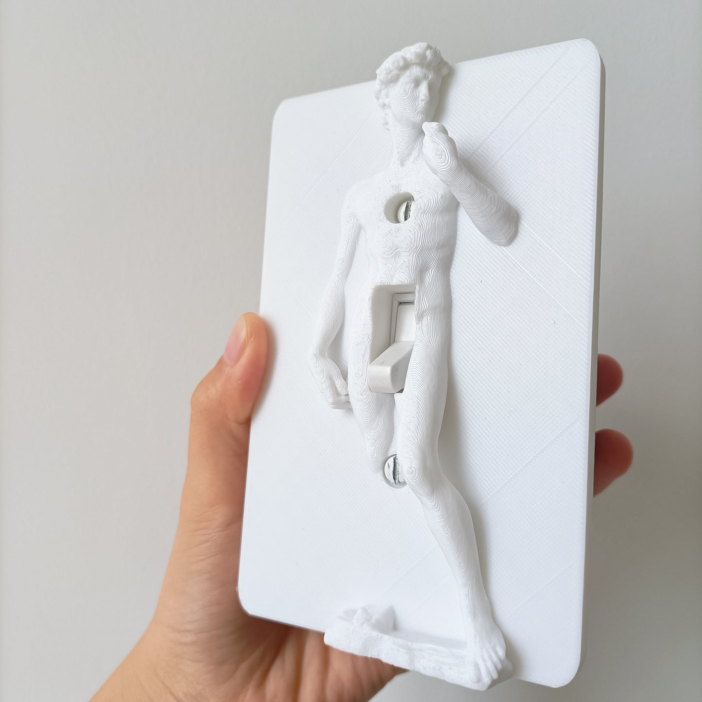 Statue of David Lightswitch Cover