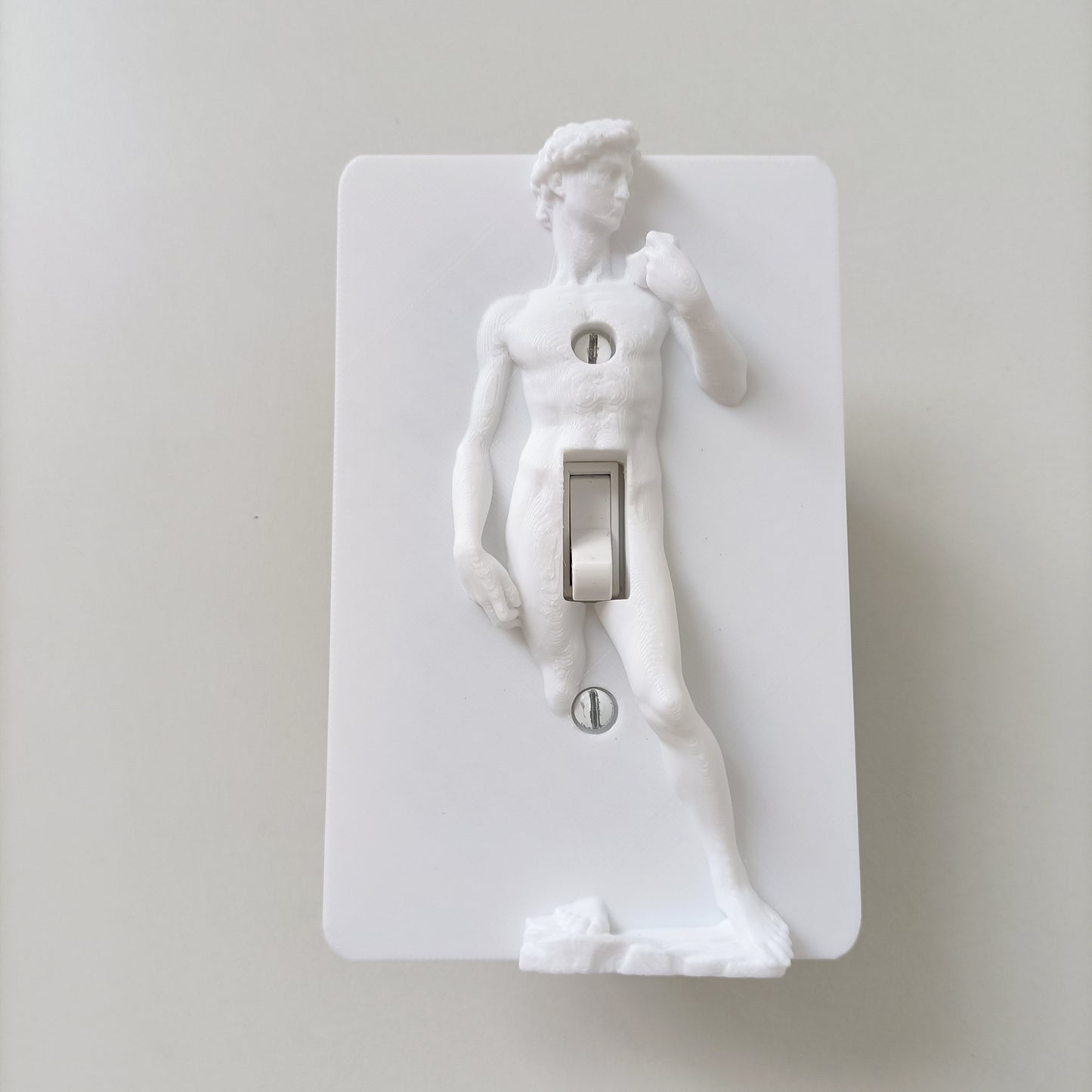 Statue of David Lightswitch Cover