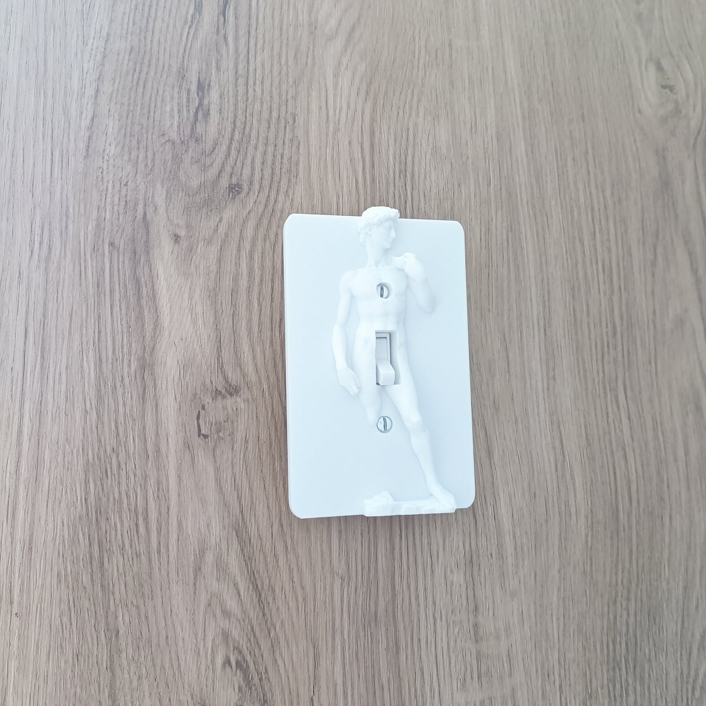 Statue of David Lightswitch Cover