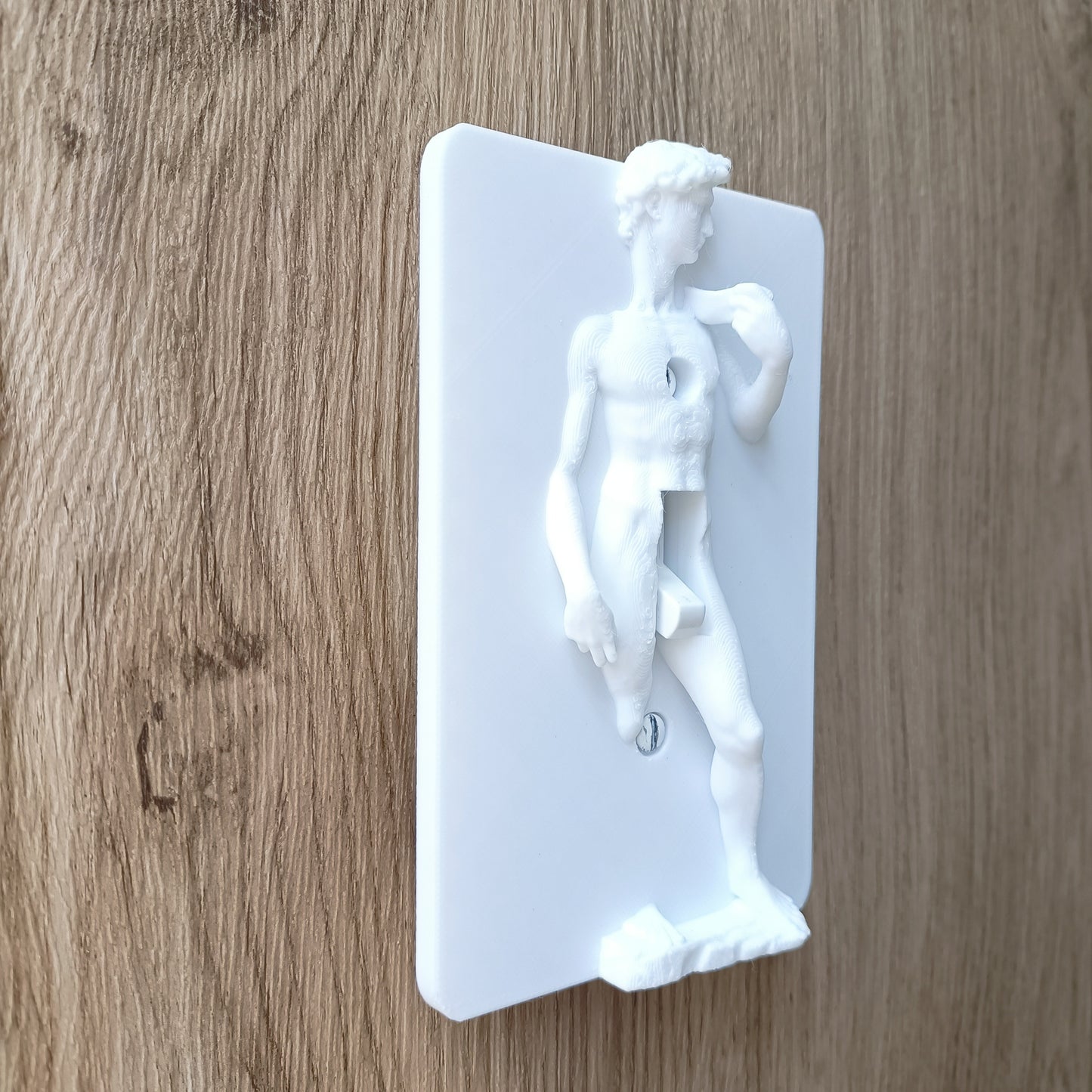 Statue of David Lightswitch Cover