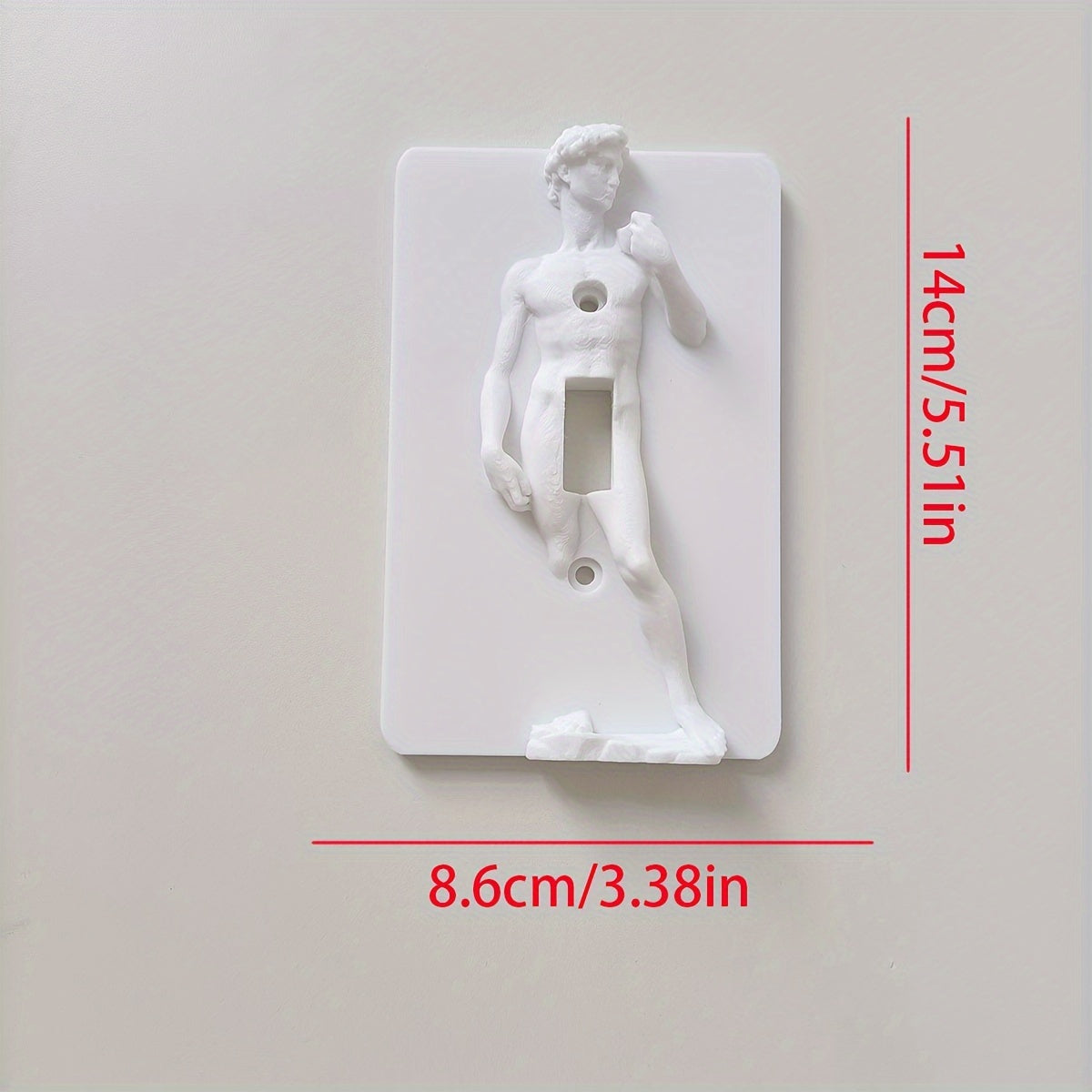 Statue of David Lightswitch Cover