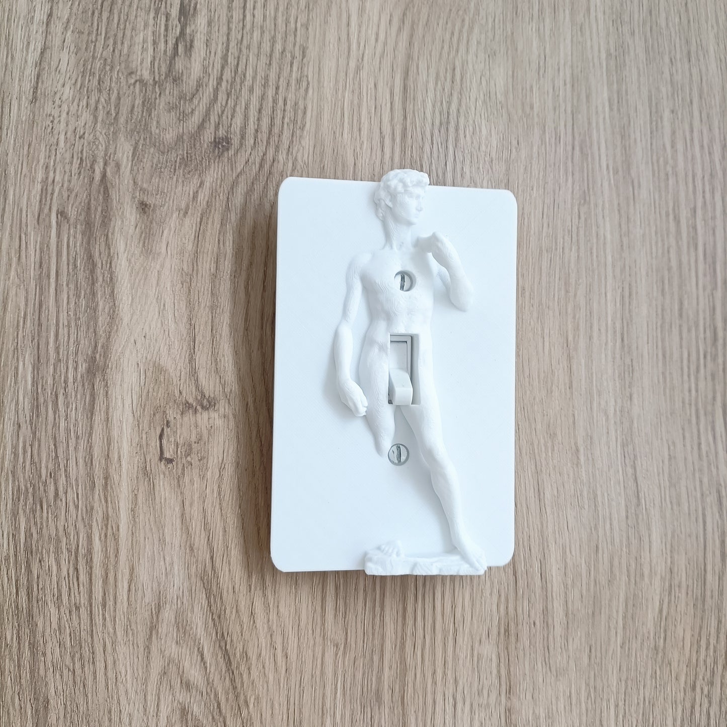 Statue of David Lightswitch Cover