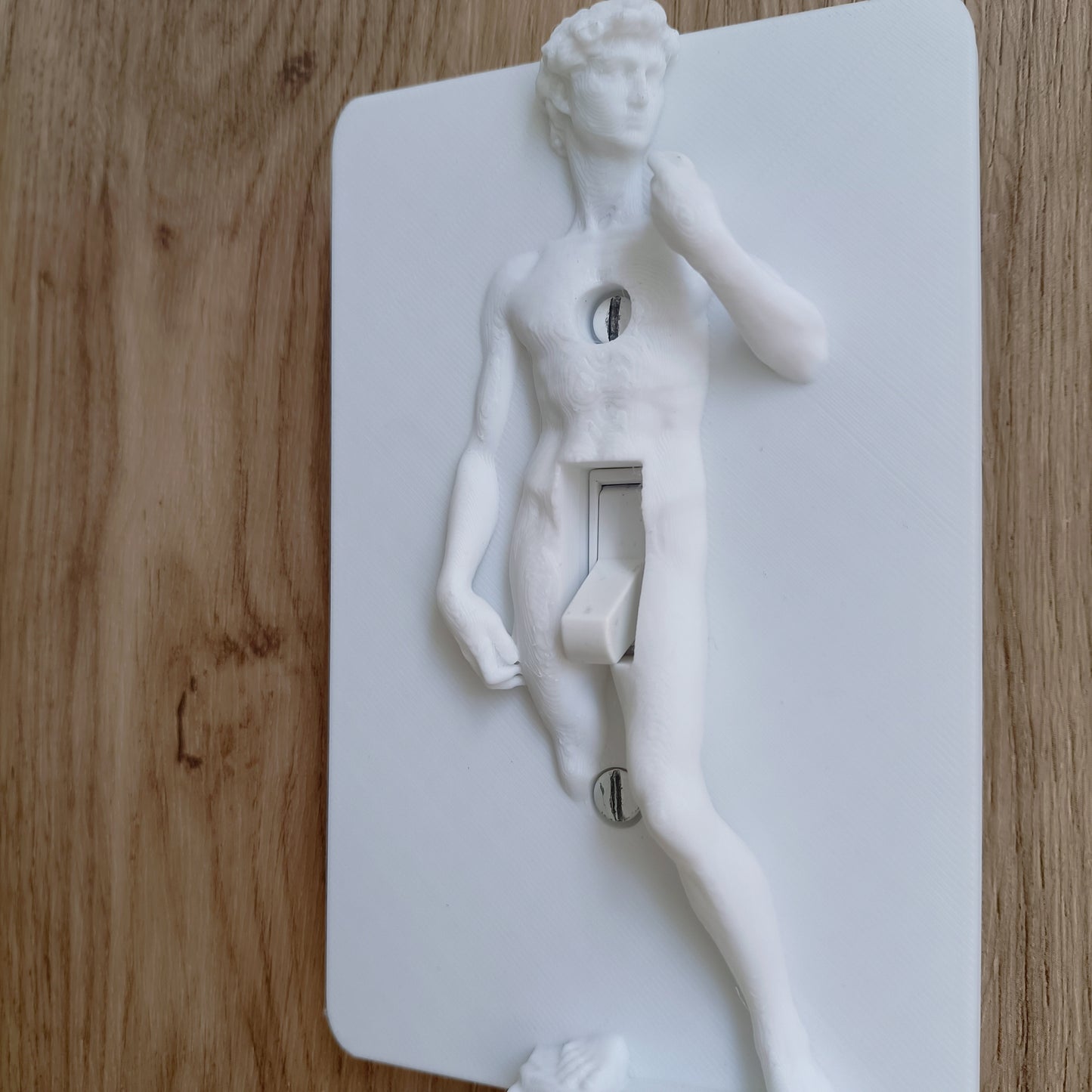 Statue of David Lightswitch Cover